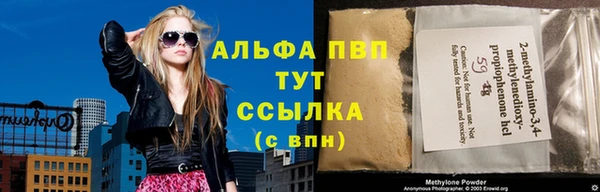 индика Няндома