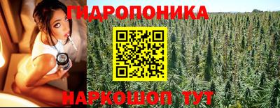 кокс Донской