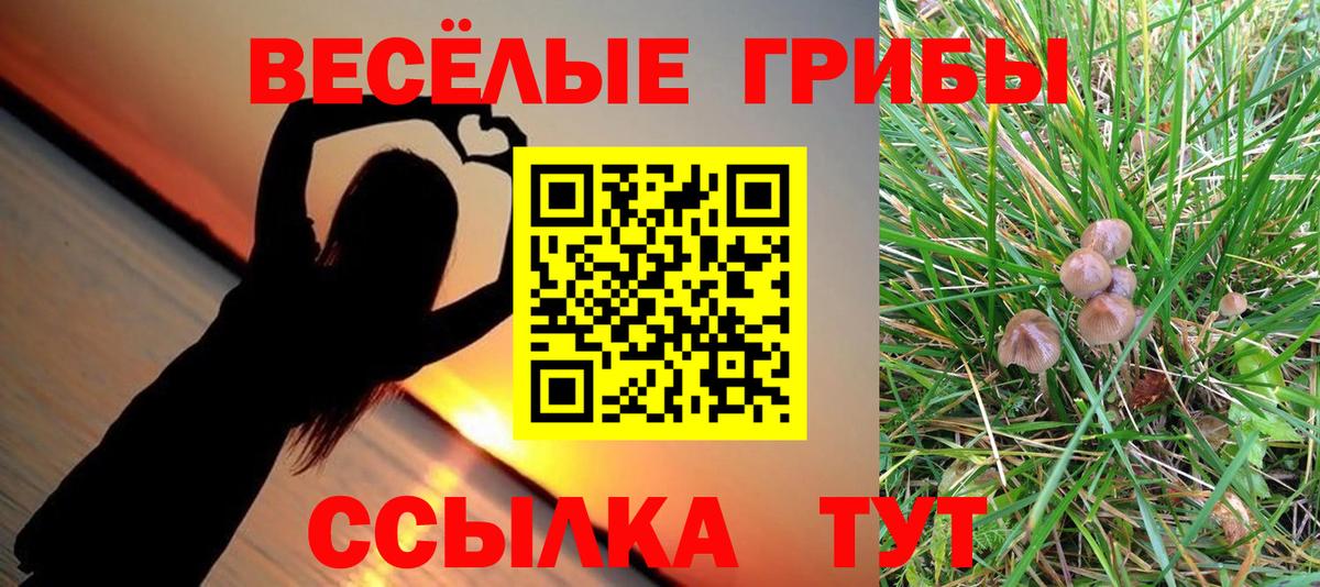 Галлюциногенные грибы прущие грибы  Вход с VPN  Ишимбай 